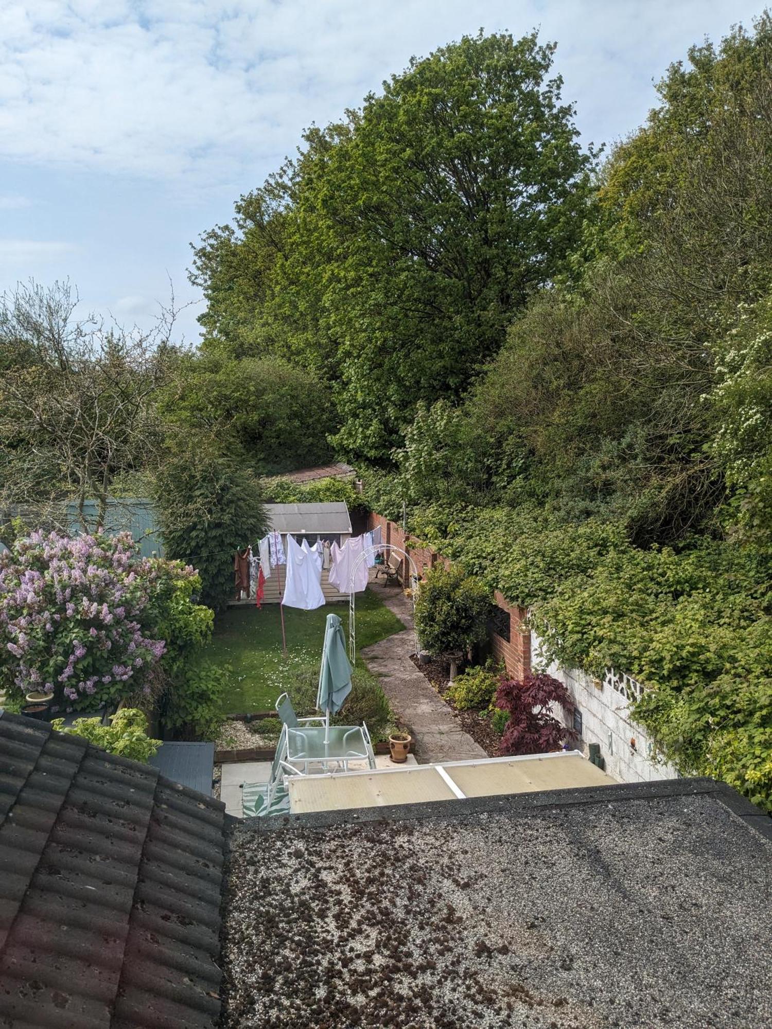 キングストン・アポン・ハル 6 Trinity Grove Ella Street Hu5 3Bb Bed & Breakfast エクステリア 写真